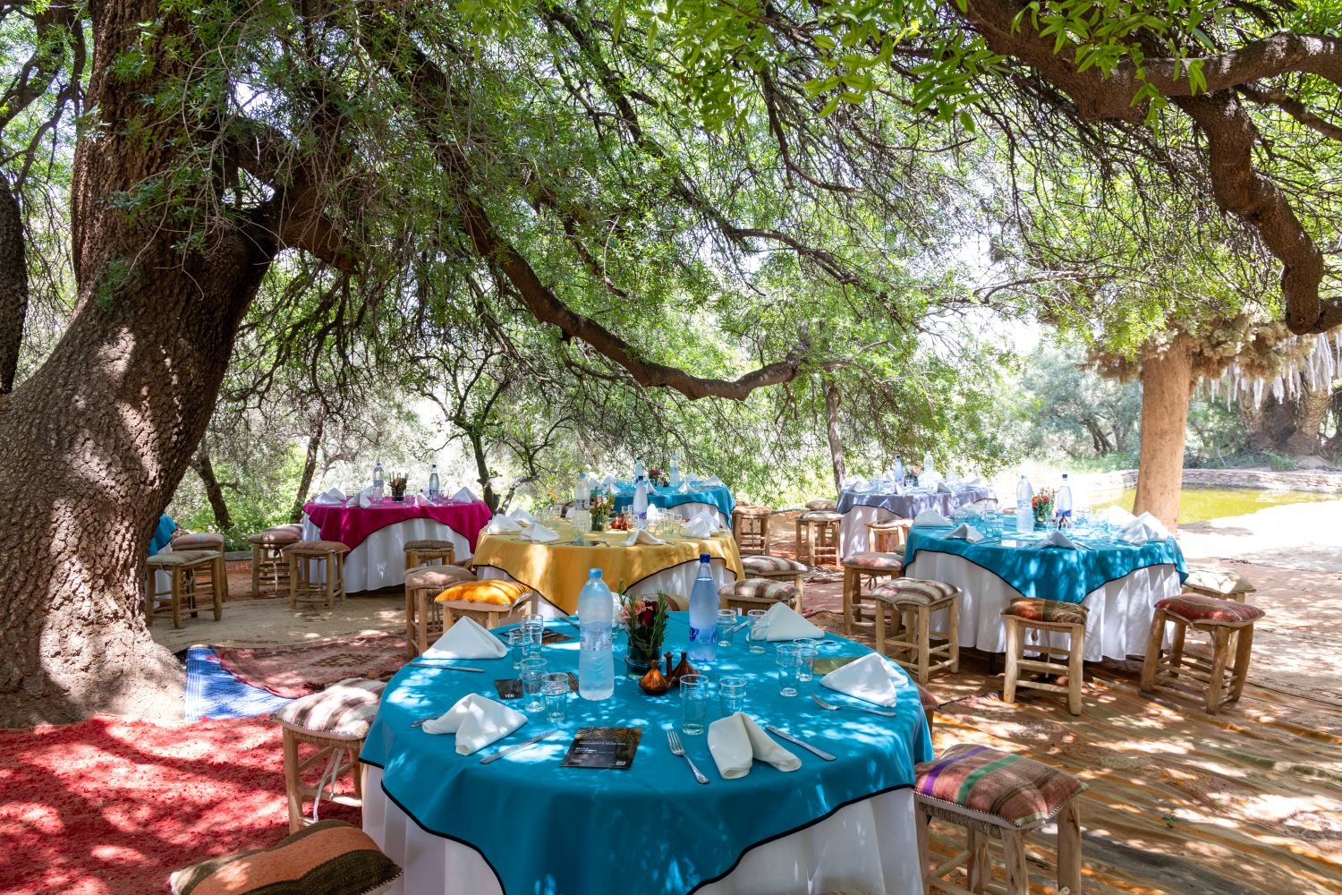 Colourful outdoor dining set beneath trees in Morocco